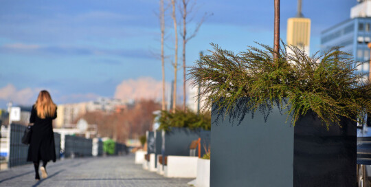 carl_lutz_rakpart_1200x801