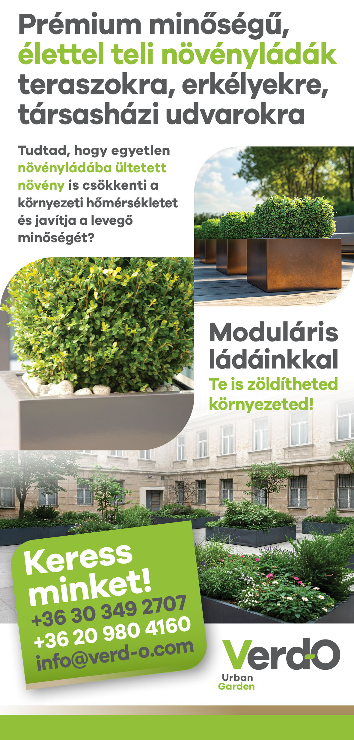 verdo_szorolap_webre-2