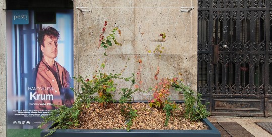 gokta_pannonia_utca_1